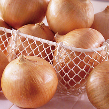 鬼怒川沿岸育ちの砂地玉ねぎ　６月中旬頃―７月上旬頃お届け