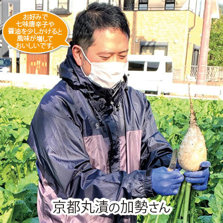 京都丸漬　百菜漬