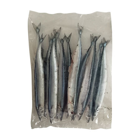 北海道産旬の生さんま１０本