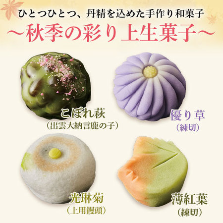 ≪送料無料！≫秋季の彩り上生菓子９個　１０日前後お届け