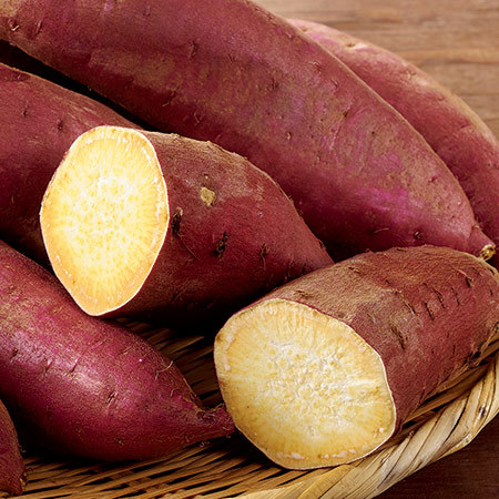 ★【早期】月見苑のすずほっくり薩摩芋