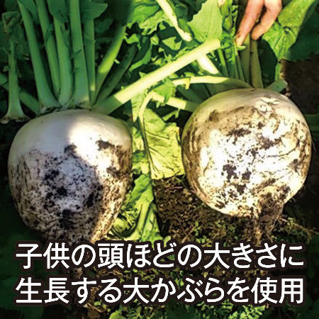 京都丸漬　千枚漬４袋　１１月上旬より順次発送