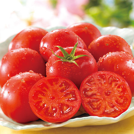 栃木のプレミアム７トマト　２０２６年４月上旬頃ー５月中旬頃お届け