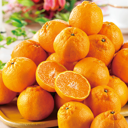 佐田岬の訳あり完熟不知火　３月上旬頃―４月下旬頃お届け