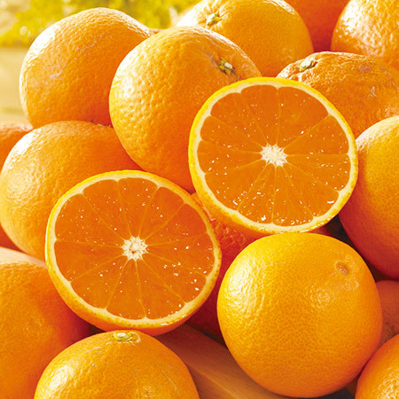 佐田岬の訳あり清見オレンジ　２３年３月上旬頃―４月中旬頃お届け