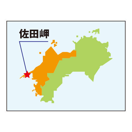 佐田岬の訳あり清見オレンジ　２０２６年３月中旬頃ー４月下旬頃お届け