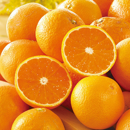 佐田岬の訳あり清見オレンジ　２０２６年３月中旬頃ー４月下旬頃お届け