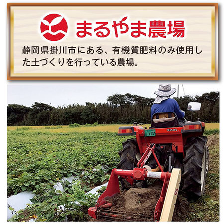 あっま－い冷やし石焼き芋２ｋｇ