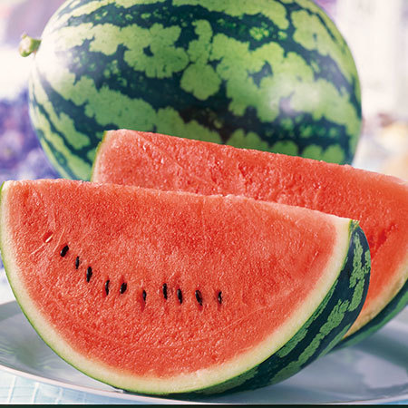 長野名産　松本ハイランドすいか　７月中旬頃―８月下旬頃お届け