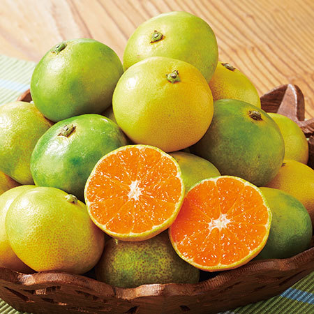 グリーンハウスみかん　７月上旬頃―８月上旬頃お届け