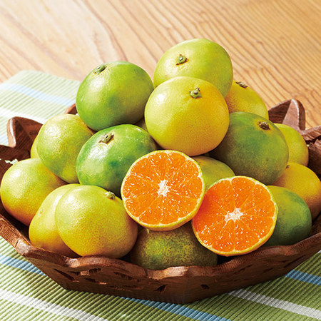 グリーンハウスみかん　６月下旬頃ー８月上旬頃お届け