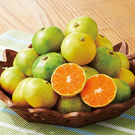 グリーンハウスみかん　６月下旬頃ー８月上旬頃お届け