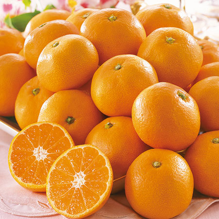 唐津産ミニハウスみかん　６月上旬頃―７月下旬頃