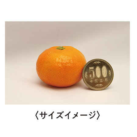 唐津産ミニハウスみかん　６月上旬頃ー７月下旬頃お届け