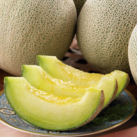 庄内砂丘のアンデスメロン　７月上旬頃―８月上旬頃お届け