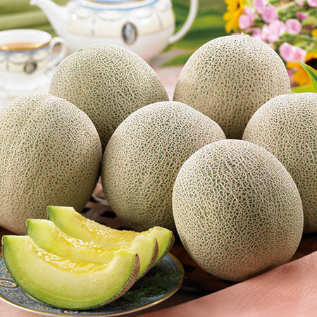 庄内砂丘のアンデスメロン　７月上旬頃ー８月上旬頃お届け