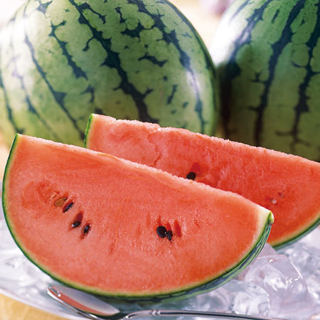 南魚沼産　八色スイカ　７月中旬頃―８月上旬頃お届け