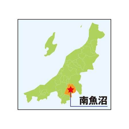 南魚沼産　八色すいか　７月中旬頃ー８月中旬頃お届け