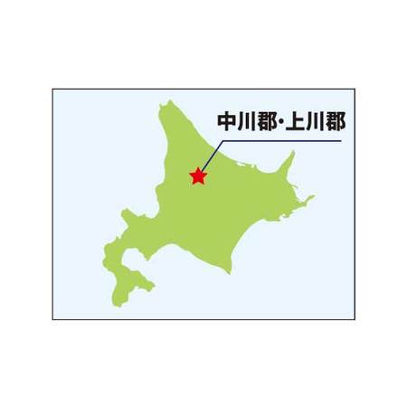 北海道北はるかのフルーツトマト　７月中旬頃ー８月中旬頃お届け