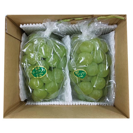 訳あり瀬戸ジャイアンツ２房　１０月上旬頃―１０月下旬頃お届け