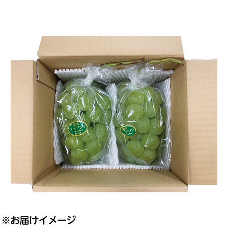 訳あり瀬戸ジャイアンツ２房　１０月上旬頃ー１０月下旬頃お届け