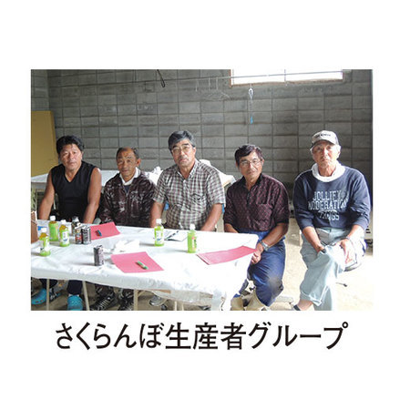 北海道仁木産さくらんぼ紅秀峰５００ｇ　７月中旬頃ー７月下旬頃お届け