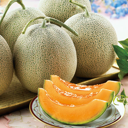 訳ありらいでんメロン４キロ　８月下旬頃ー９月上旬頃お届け