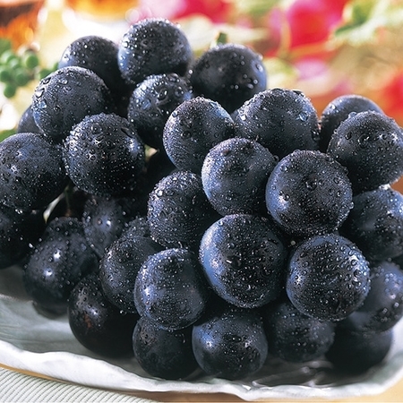 伊藤さんのナガノパープル　８月下旬頃―９月中旬頃お届け