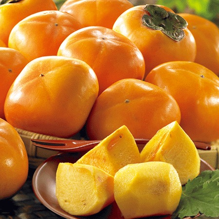 訳あり庄内柿４キロ　１０月中旬頃―１１月中旬頃お届け