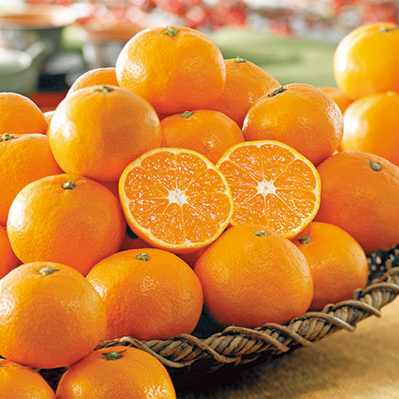 お日様にっこり！中島の中生みかん３キロ　１２月上旬頃―１２月下旬頃お届け