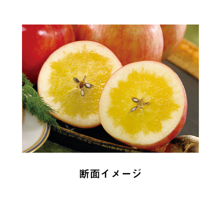 こみつ（R）　１１月下旬頃 ―１２月下旬頃お届け