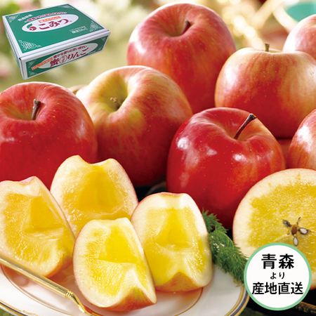 こみつ（R）　１１月下旬頃 ―１２月下旬頃お届け