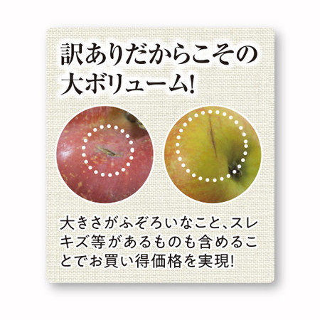 訳あり青森「サンふじ」りんご５キロ　１１月上旬頃ー１２月下旬頃お届け