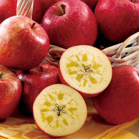 訳あり青森「サンふじ」りんご５キロ　１１月上旬頃ー１２月下旬頃お届け