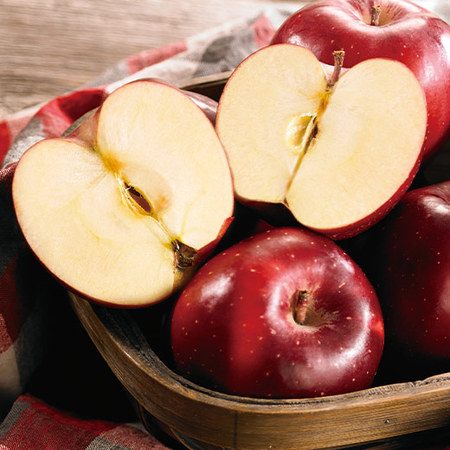 シナノほっぺ　１０月下旬頃 ―１２月中旬頃お届け