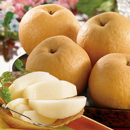 西村果樹ガーデンの新興梨　１１月上旬頃 ―１２月下旬頃お届け