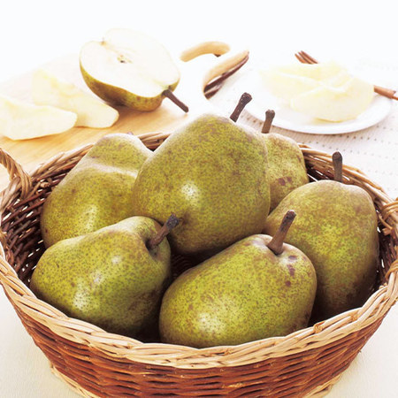 山形生まれの洋梨バラード　１０月上旬―１０月下旬頃お届け