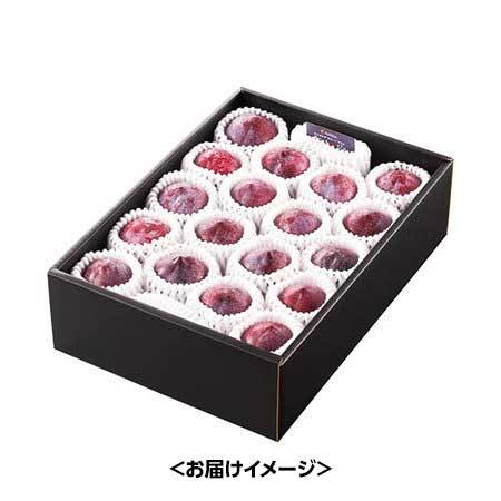 高級すももサンルージュ　８月下旬頃ー９月中旬頃お届け