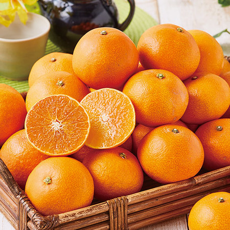 ご家庭用紅まどんな　１２月上旬頃 ―１２月下旬頃お届け