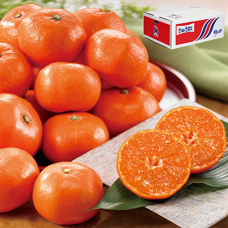 さぬき紅みかん４．８キロ　１１月中旬頃ー１２月下旬頃お届け