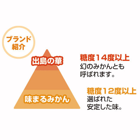 味まるみかん　１１月中旬頃ー１２月下旬頃お届け