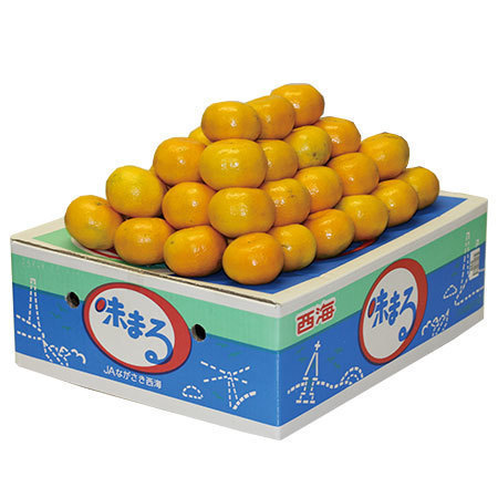 味まるみかん　１１月中旬頃ー１２月下旬頃お届け