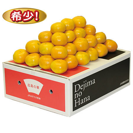 出島の華みかん　１２月中旬頃―１２月下旬頃お届け