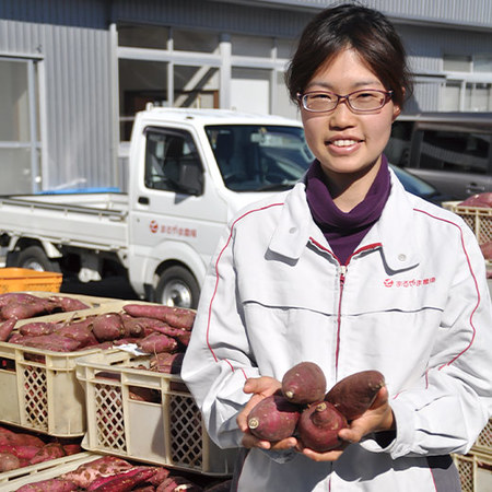 訳あり紅はるか干し芋　９月上旬頃―１２月上旬頃お届け
