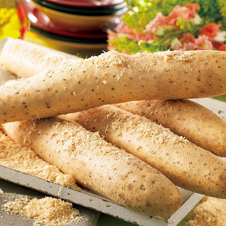 高原育ちの長いも５キロ　１１月上旬頃ー１２月中旬頃お届け