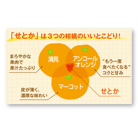 訳あり露地せとか３キロ　２０２７年２月下旬頃ー３月下旬頃お届け
