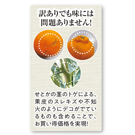 訳あり露地せとか３キロ　２０２７年２月下旬頃ー３月下旬頃お届け