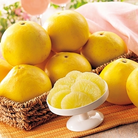 訳あり土佐文旦（大玉）　２月中旬頃ー３月中旬頃お届け