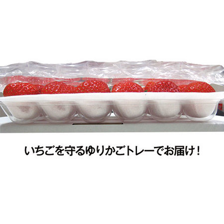 香川のプリンセスさぬきひめ　２０２６年１月下旬頃ー２月下旬頃お届け