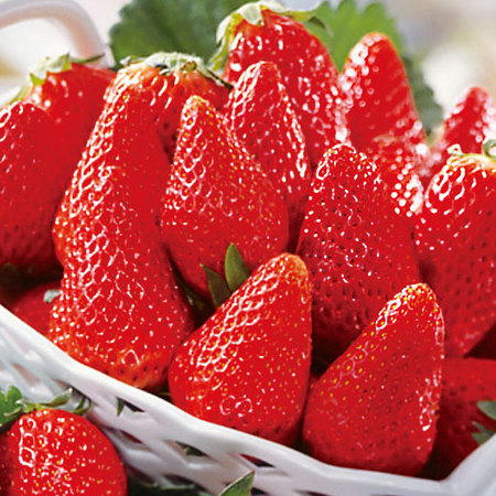 香川のプリンセスさぬきひめ　２０２６年１月下旬頃ー２月下旬頃お届け